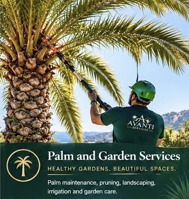 Avanti Services team member pruning a tall palm tree in a Mediterranean garden